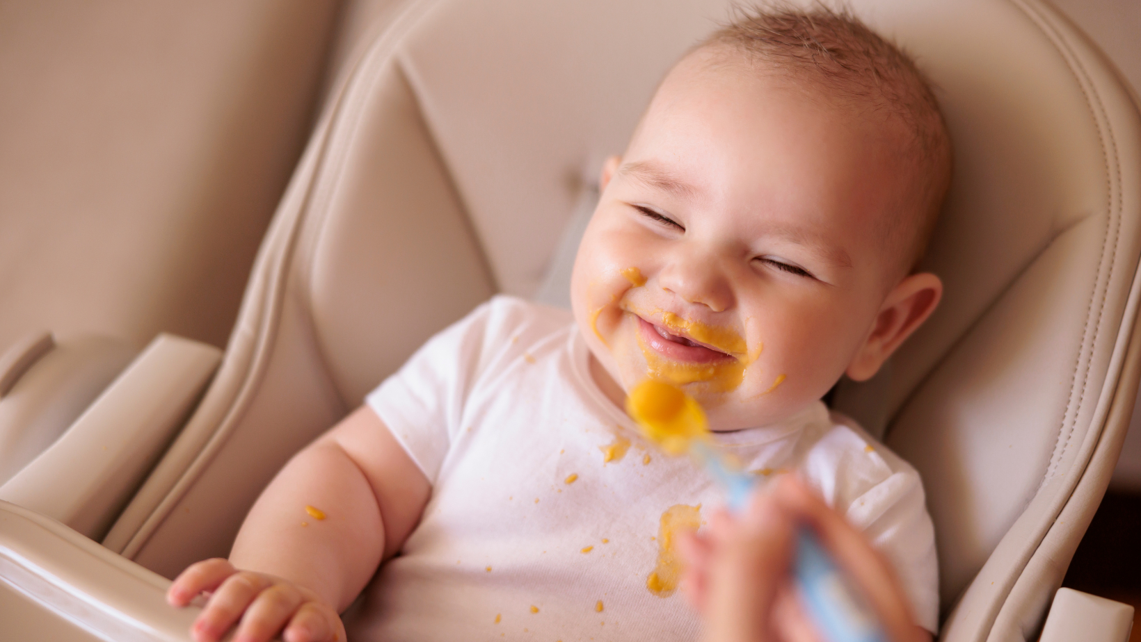 Guia Completo de Introdução Alimentar