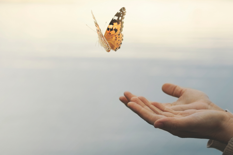 como cuidar melhor de você