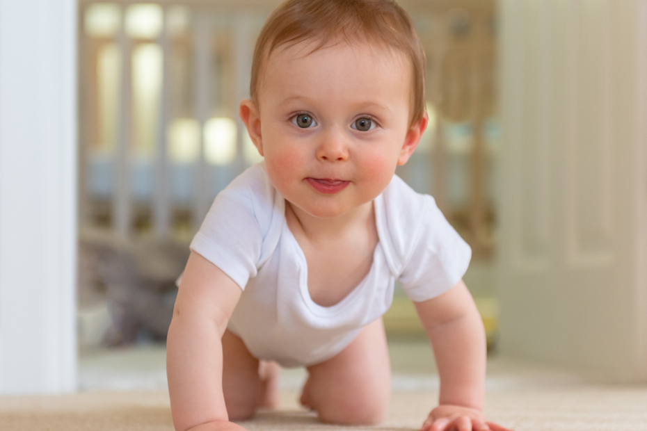 bebê de 9 meses